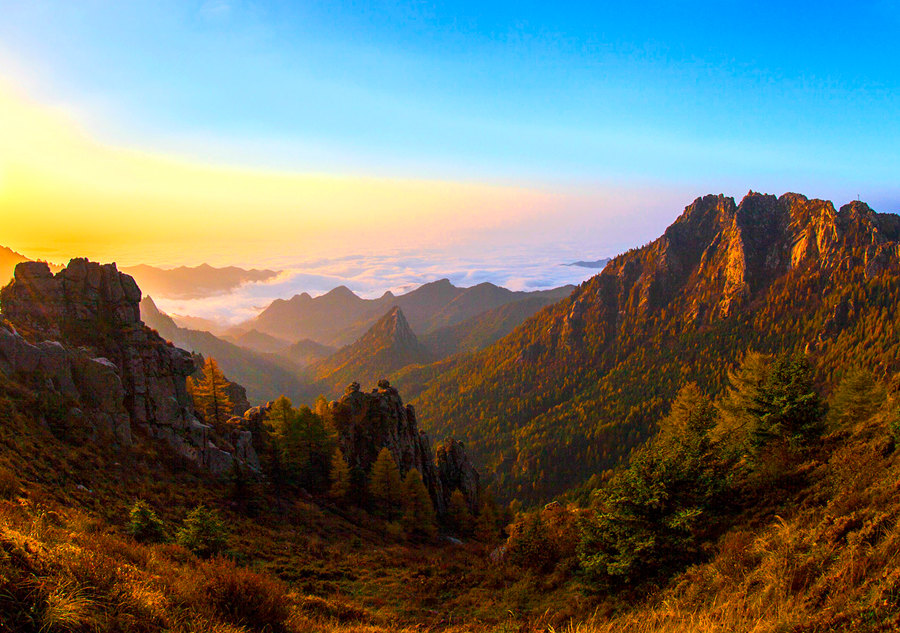 Indulged in the golden color of autumn in Shanxi