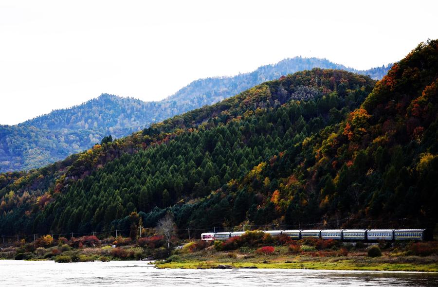 Autumn scenery in Yichun, Heilongjiang province