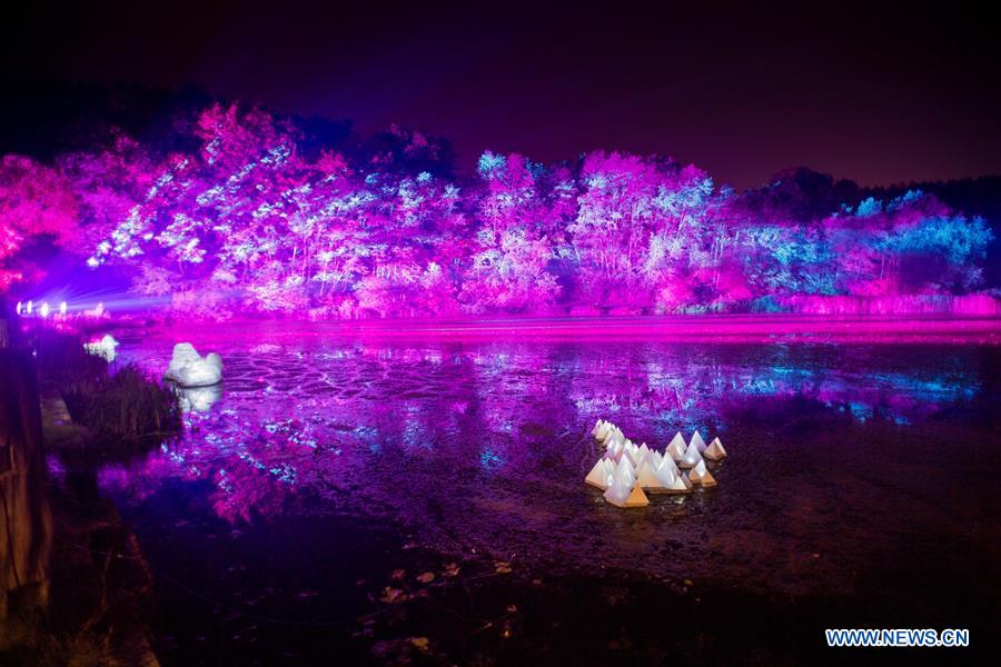 Come to experience wonderland of light