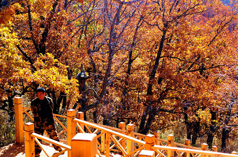 Gongbiela Nature Reserve exemplifies ecology protection