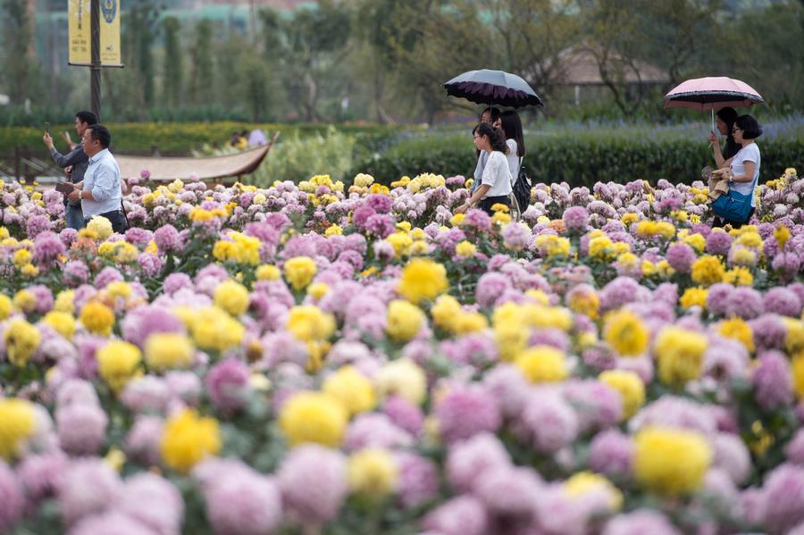 Tourists go sightseeing at Gudian wetland park in Kunming