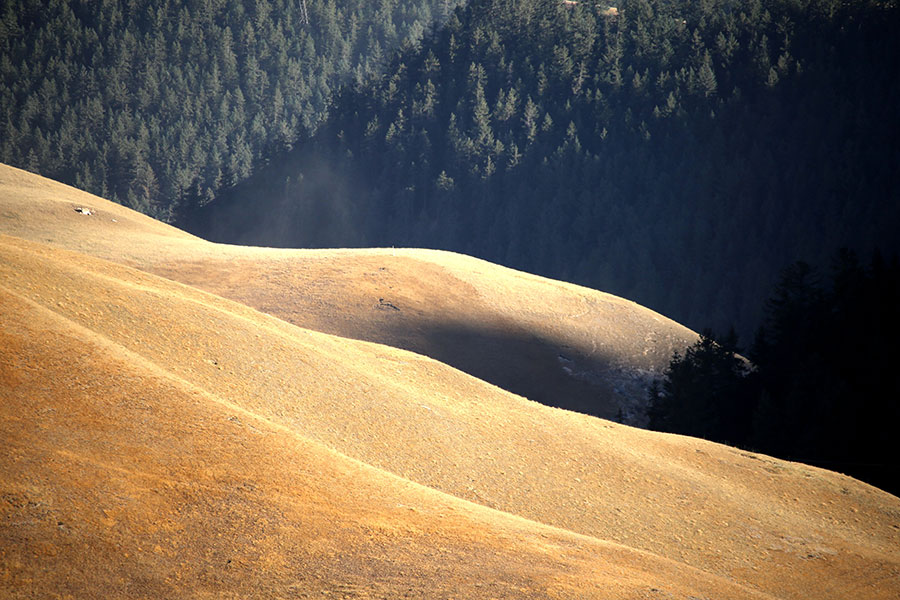 Autumn beauty at the foot of Qilian Mountains