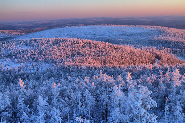 Inner Mongolia promotes its winter charm