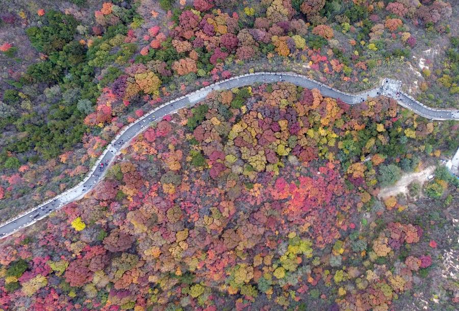 Tourists visit Badaling National Forest Park in Beijing