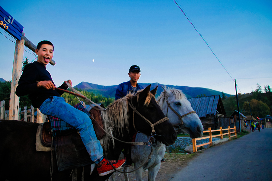 Xinjiang Altay prefecture: Land of Kazakh herdsmen, horses and golden fall