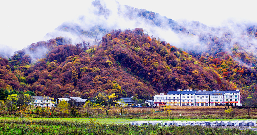 Autumn scenery of Shennongjia, Hubei province