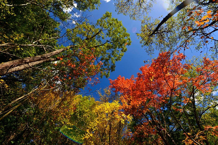 Splendid Sichuan captured in photos