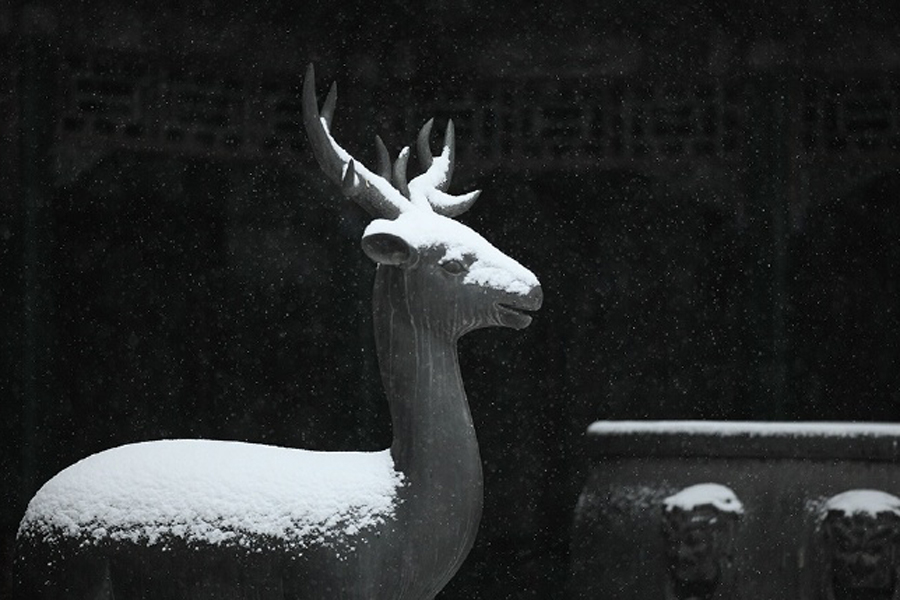 First snow at Forbidden City