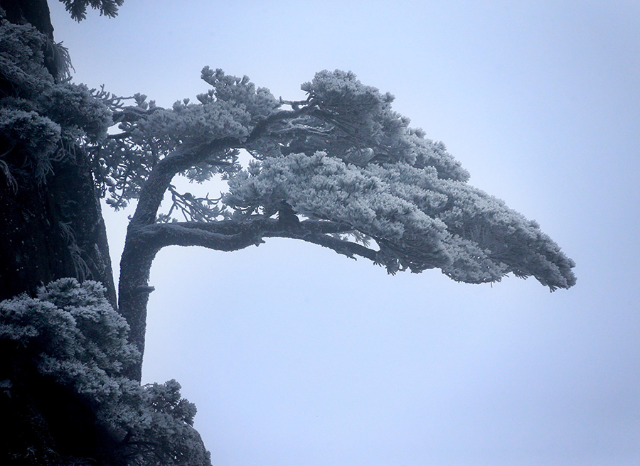 Mount Huangshan blanketed in shades of silver-white