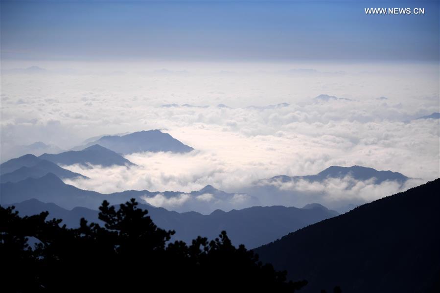 Sea of clouds at Huangshan Mountain