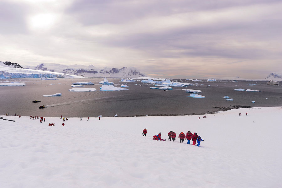 More than Antarctic - A fantastic journey