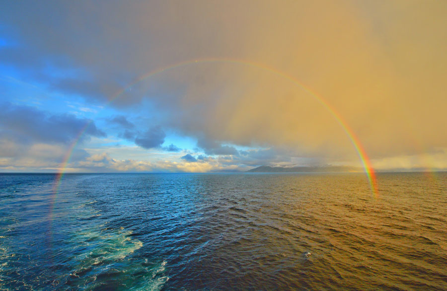 More than Antarctic - A fantastic journey