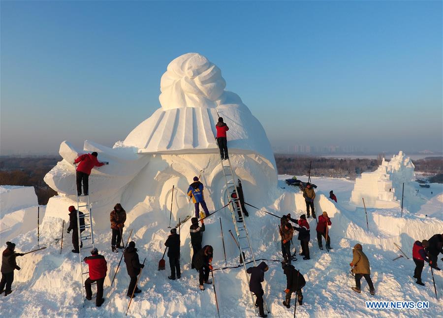 Sun Island Int'l Snow Sculpture Art Expo kicks off in NE China