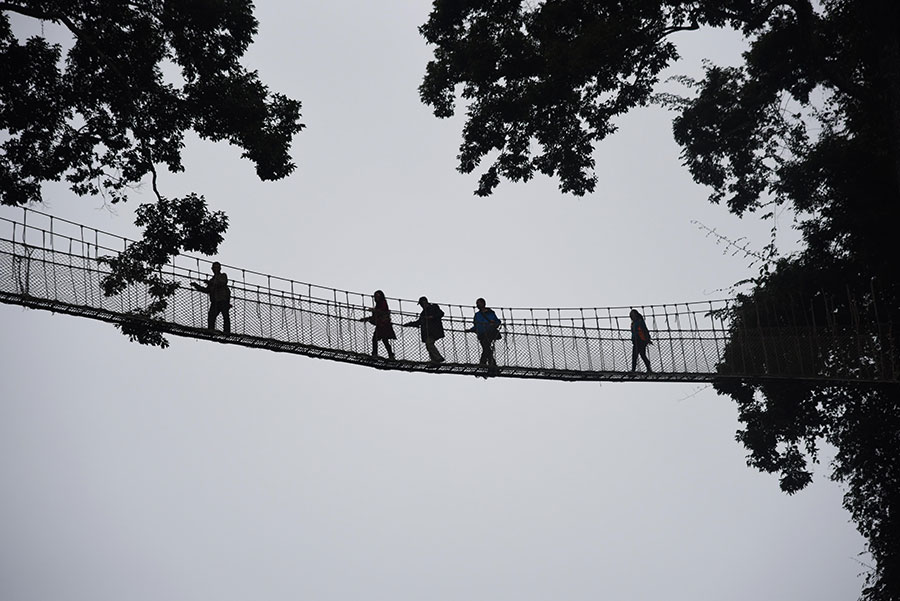 The world’s highest treetop corridor in Yunnan offers thrilling adventure