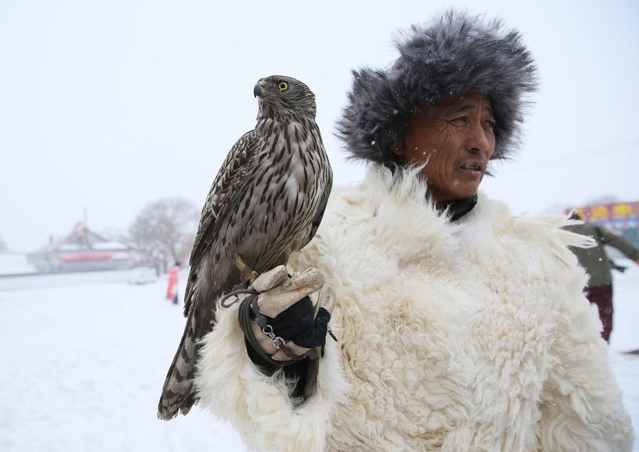 Traditional falconry seen at local tourism festival in Jilin
