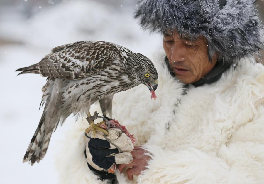 Traditional falconry seen at local tourism festival in Jilin