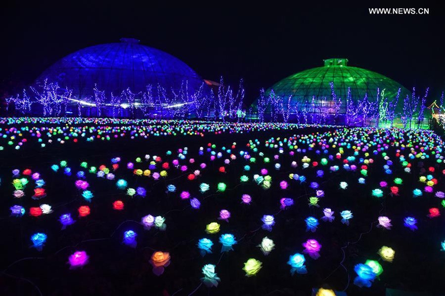 Thousands of rose-shaped lights light up county