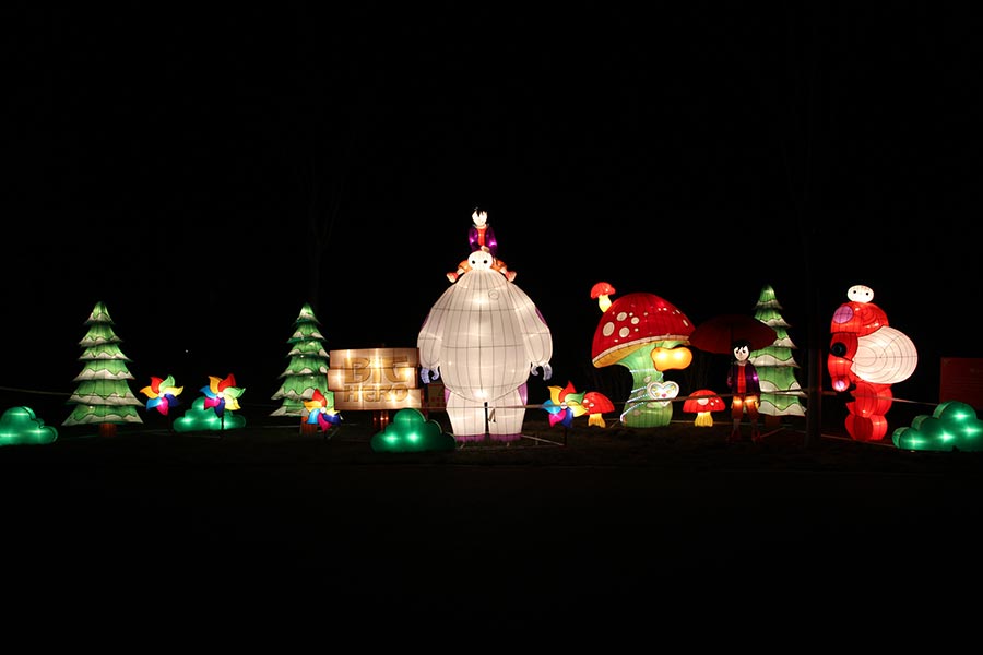 Lanterns light up Beijing rose park for Spring Festival