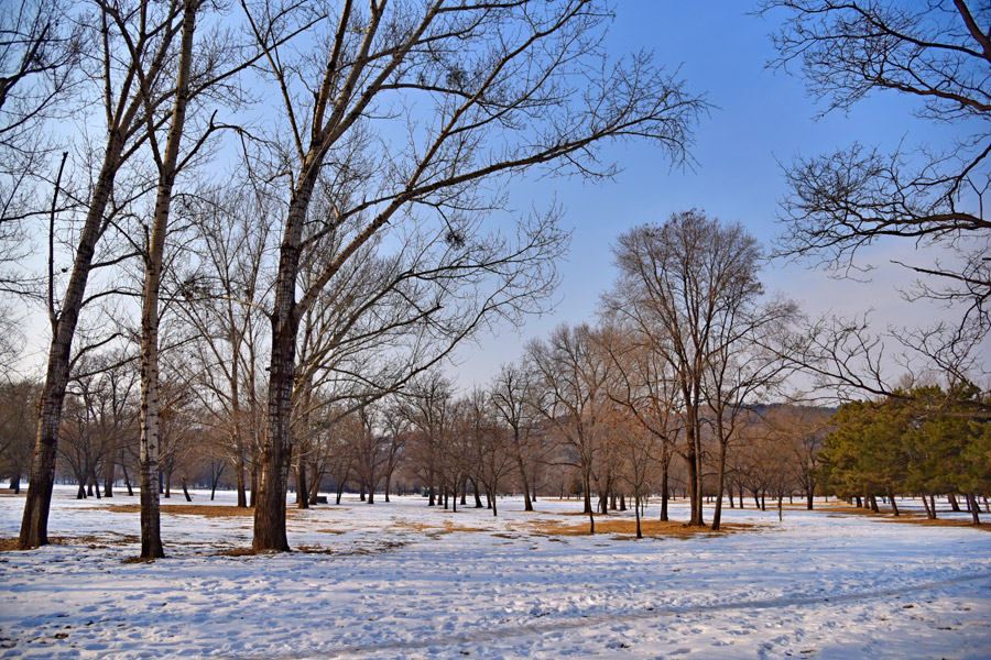 Summer resort turns into winter paradise