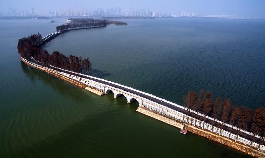 Greenways across Donghu Lake in Central China's Wuhan