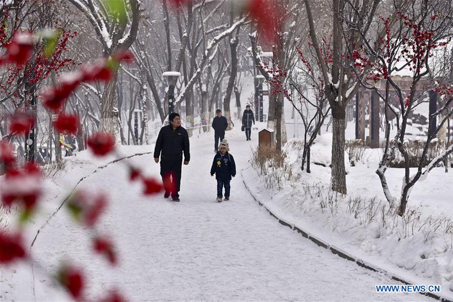Snow scenery seen in Urumqi, China's Xinjiang