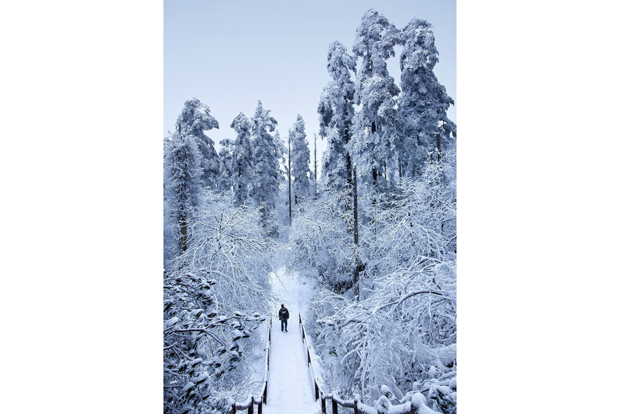 White snow turns Emei Mountain into a winter fairyland
