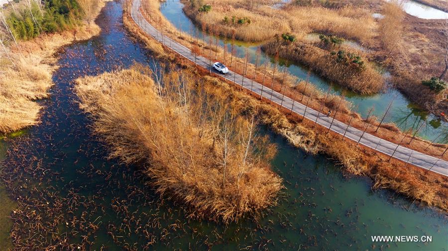 Scenery of canal wetland park in E China