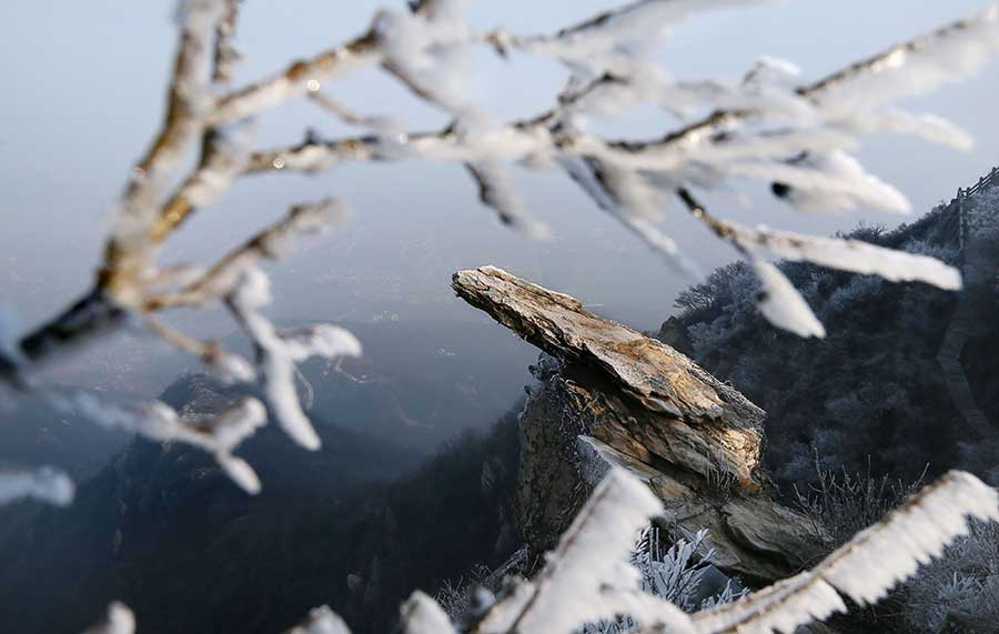 Frosted beauty captured in rime at Huaguo mountain, Jiangsu province