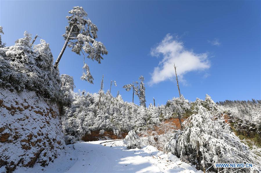Snow-covered Longcanggou National Forest Park