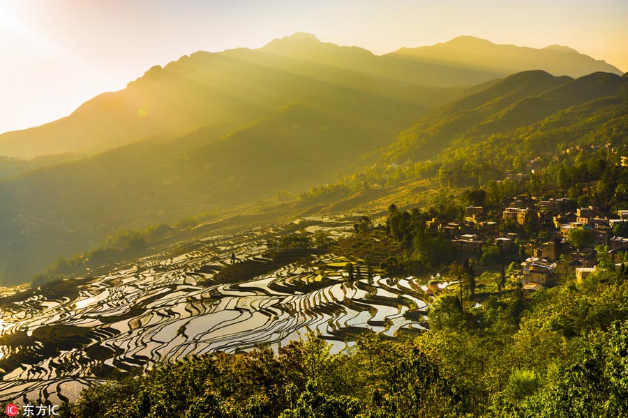 Honghe Rice Terraces: Masterpiece of Hani people