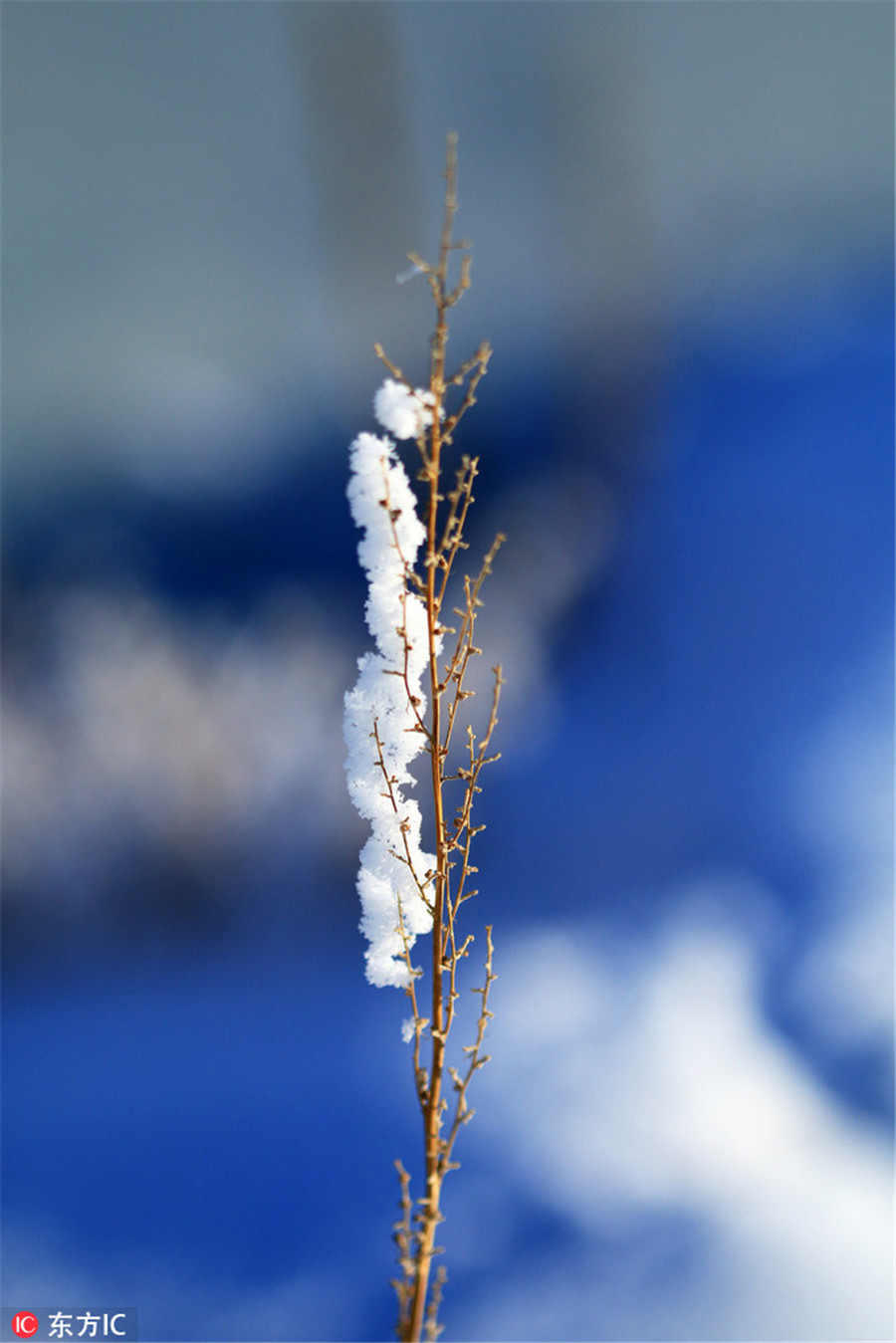 Snow and ice turn Greater Hinggan Mountains a magical world