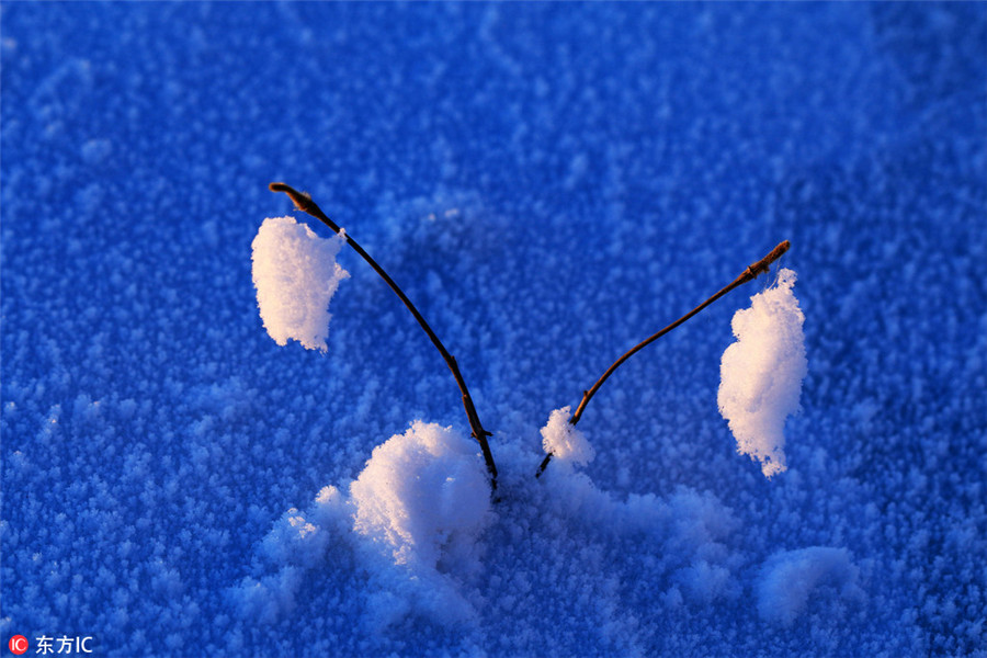 Snow and ice turn Greater Hinggan Mountains a magical world