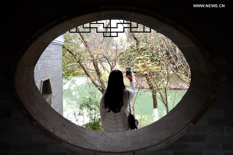 Plum trees in blossom in east China's Jiangxi