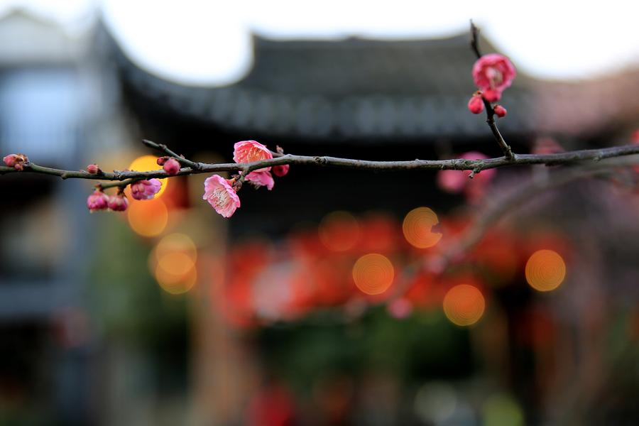 Fresh spring scenery brightens China