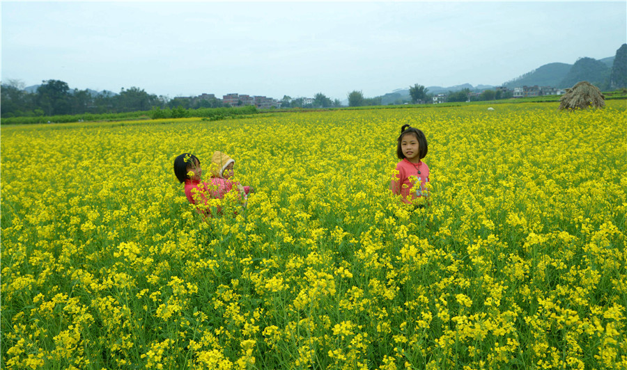 Blooming flowers bring promise of spring