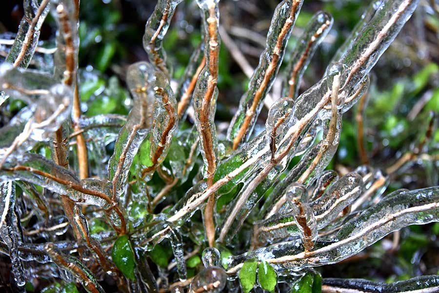 Icicles add to waterfall beauty