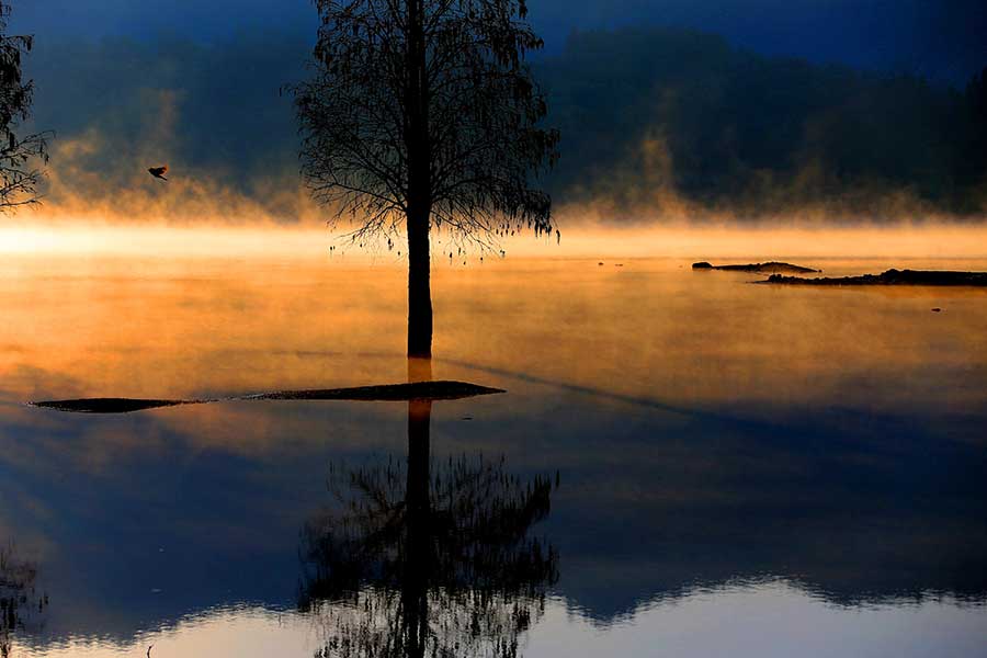 Dawn's early light sets Qishu Lake 'afire'