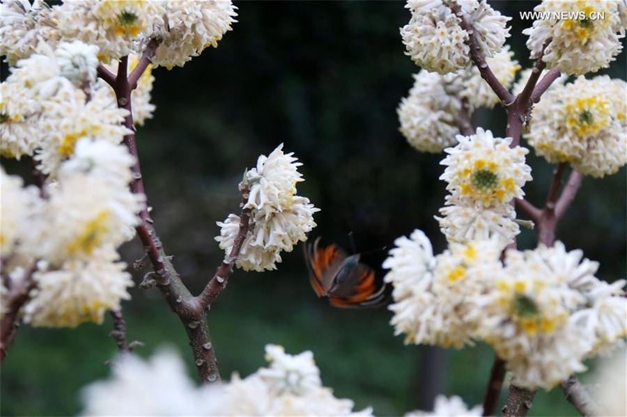 Spring returns to land as temperature rises