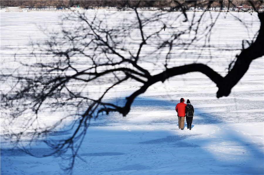 Snow blankets Harbin