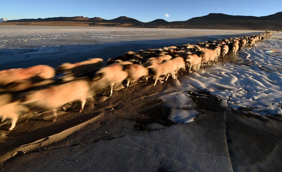 An icy path to pastures new