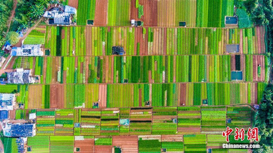 Colorful Yunnan captured in aerial photos