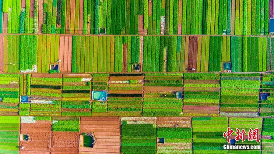 Colorful Yunnan captured in aerial photos