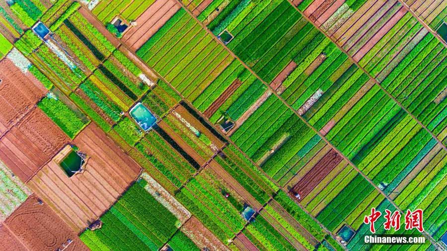 Colorful Yunnan captured in aerial photos