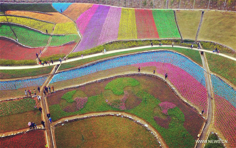 Scenery of tulip fields in Xinyu, East China