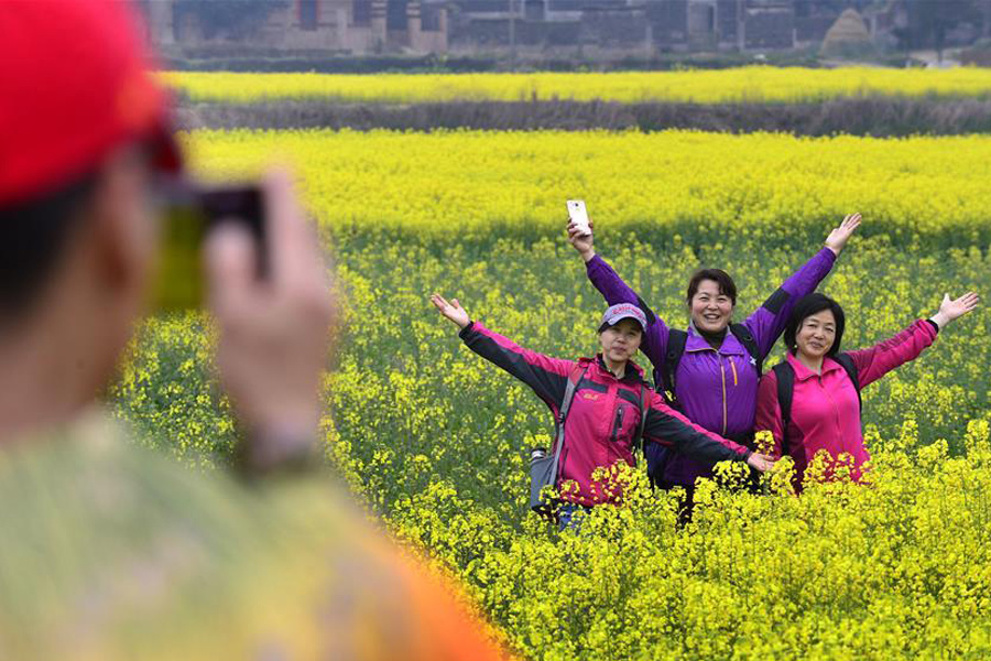 Tourists pose for photos among cole flowers in E China