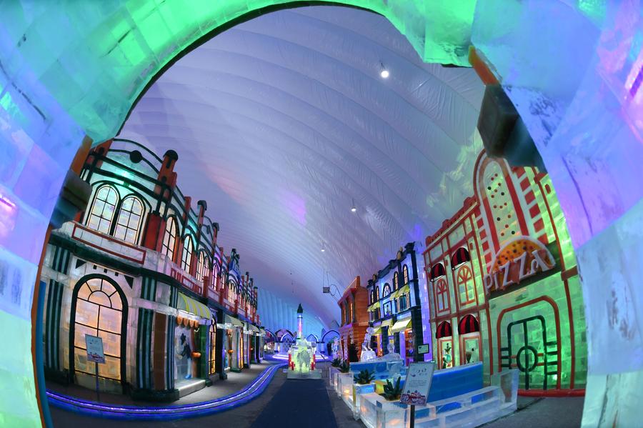 Ice-Snow World Theme Park opens in Harbin