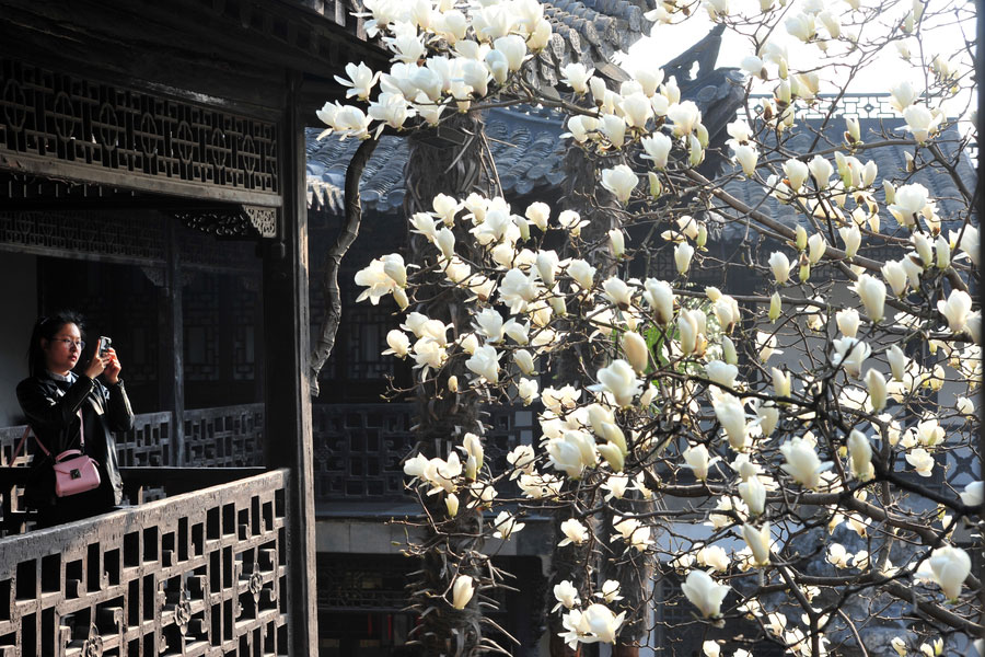 Spring flowers decorate Slender West Lake