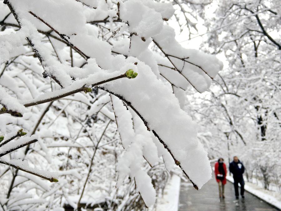 Snow scenery at Pingliang city in Gansu