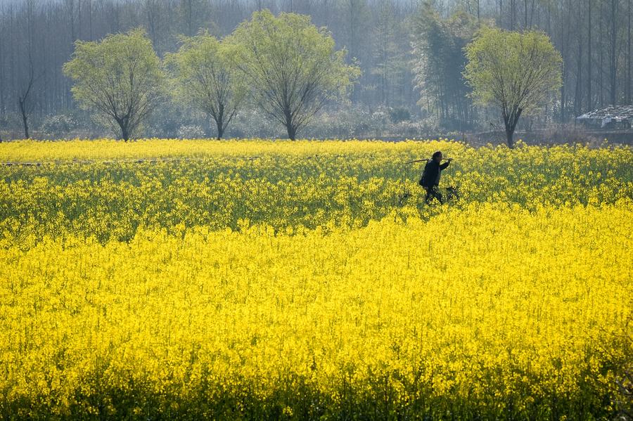 Scenery of ancient village in Yixian county, Anhui province