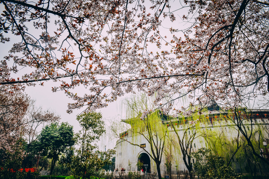 People enjoy spring scenery across China